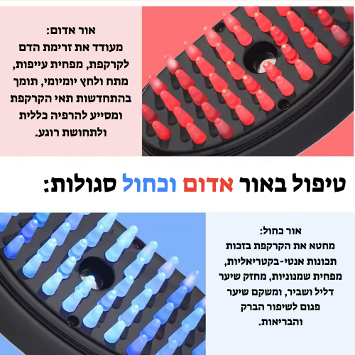 המברשת החשמלית מבית Bloom body